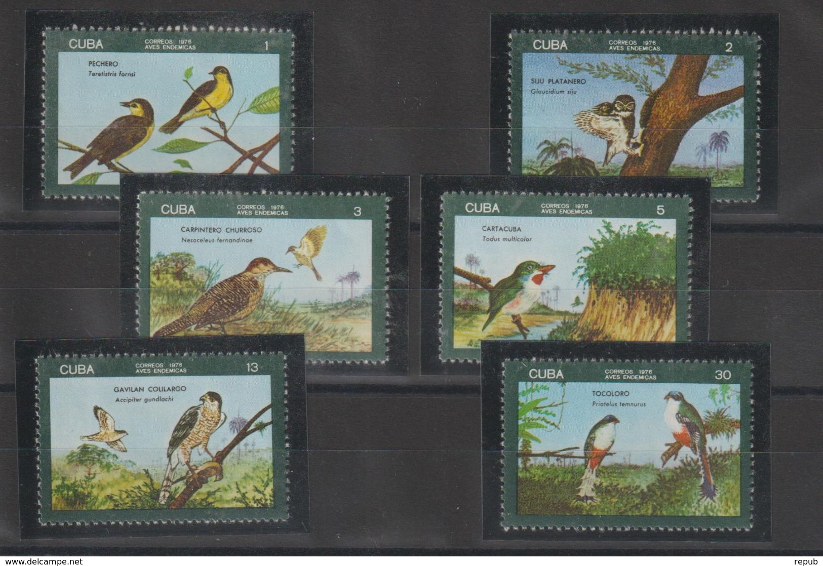 Cuba 1976 Oiseaux 1938-43 6 Val * Charn - Ongebruikt