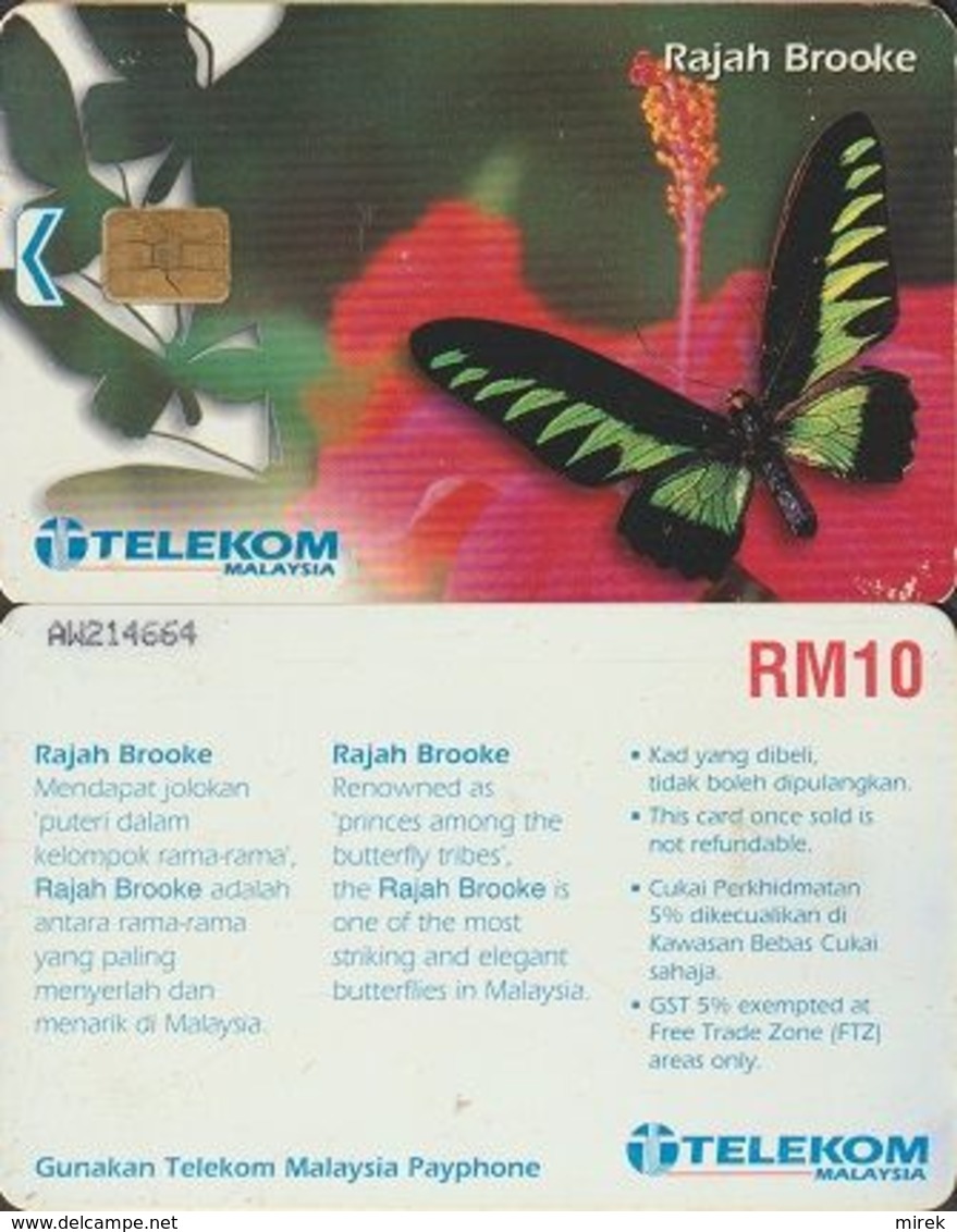 182/ Malaysia; Butterfly - Rajah Brooke - Malasia