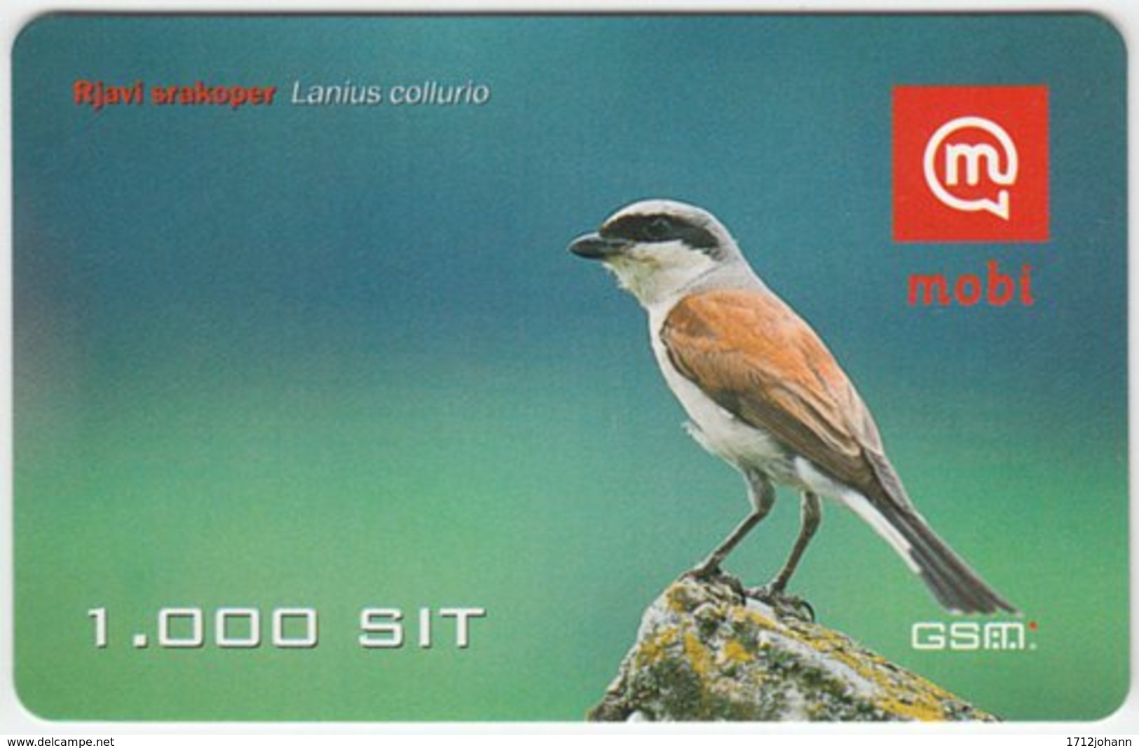 SLOVENIA B-014 Prepaid Mobi - Animal, Bird, Red-backed Shrike - Val. 31/12/2008 - Used - Slovenia