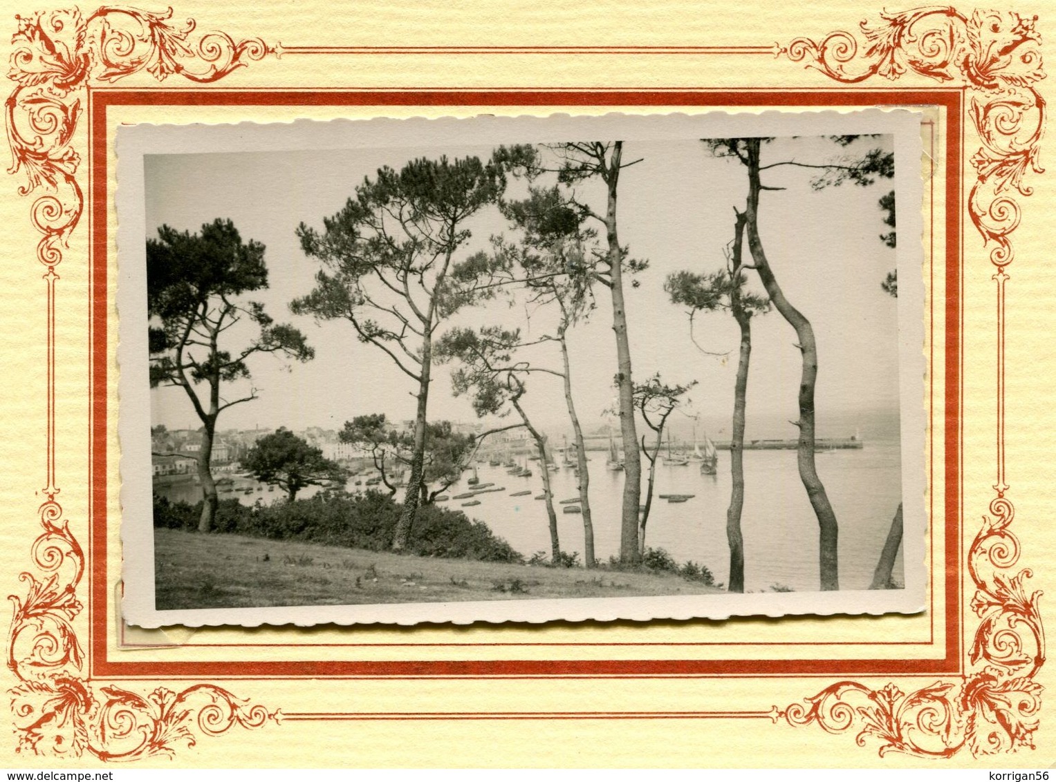 DOUARNENEZ *** VUE DU PORT  *** CARTE PHOTO *** - Douarnenez