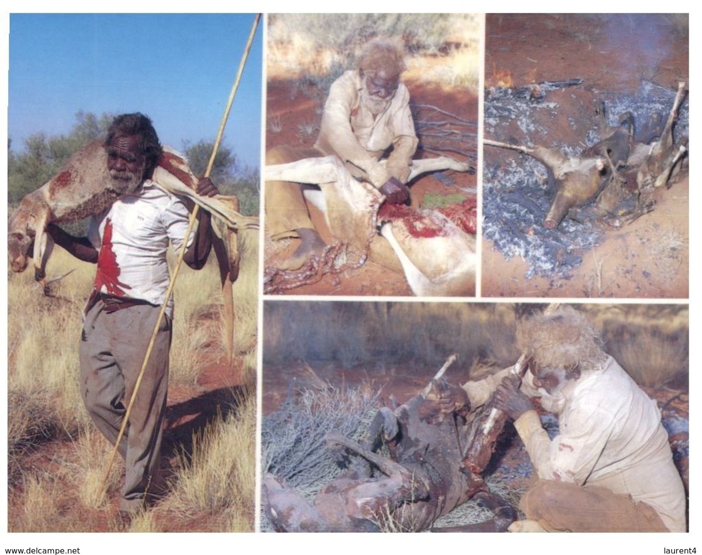 (A 16) Australia - Traditional Kangaroo Hunting & Cooking - Aborigines