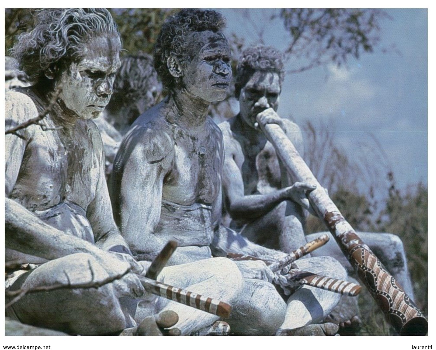 (A 16) Australia - Traditional Didgerido Playing At Corroboree - Aborigènes