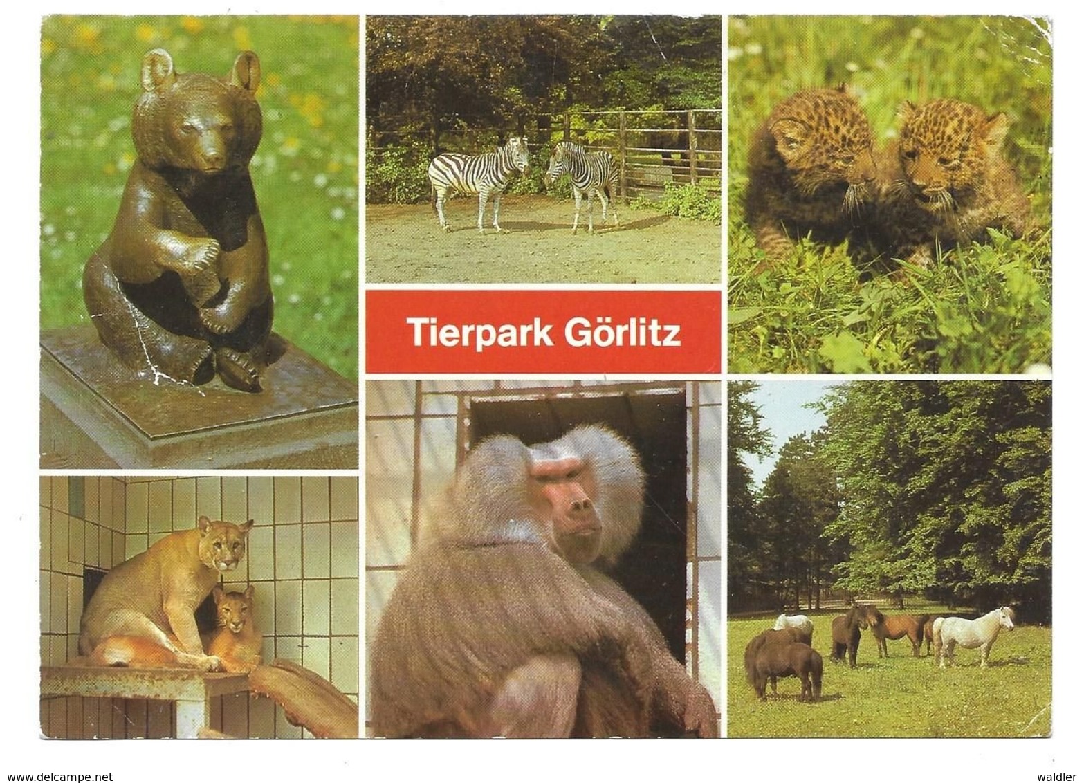 8900  GÖRLITZ - TIERPARK  ZOO  1985 - Goerlitz