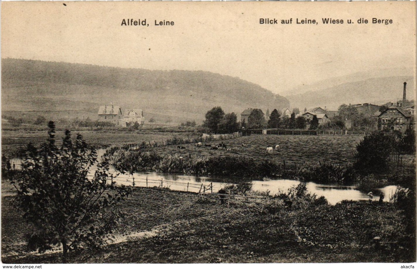 CPA AK Alfeld - Leine - Blick Auf Leine - Wiese - Die Berge GERMANY (969764) - Alfeld