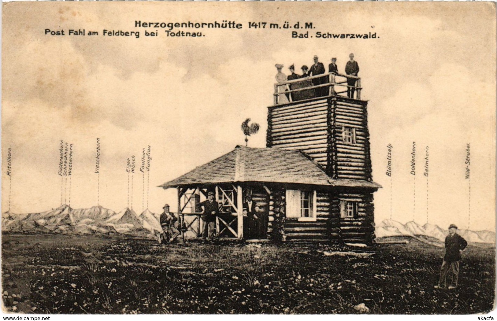 CPA AK Herzogenhornhutte - Todtnau GERMANY (969983) - Todtnau