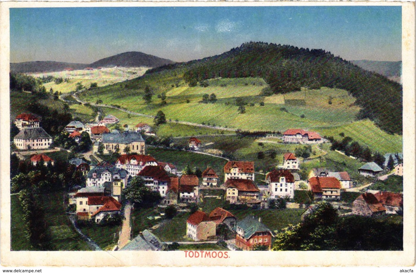 CPA AK Todtmoos - Totalansicht GERMANY (1030013) - Todtmoos