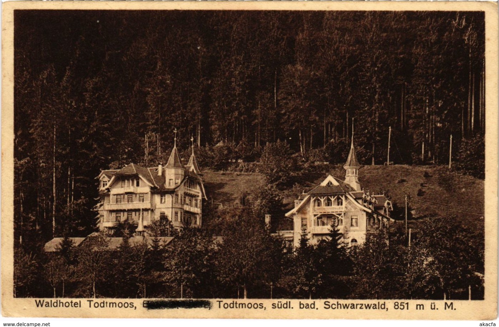 CPA AK Todtmoos - Waldhotel Todtmoos GERMANY (1030019) - Todtmoos