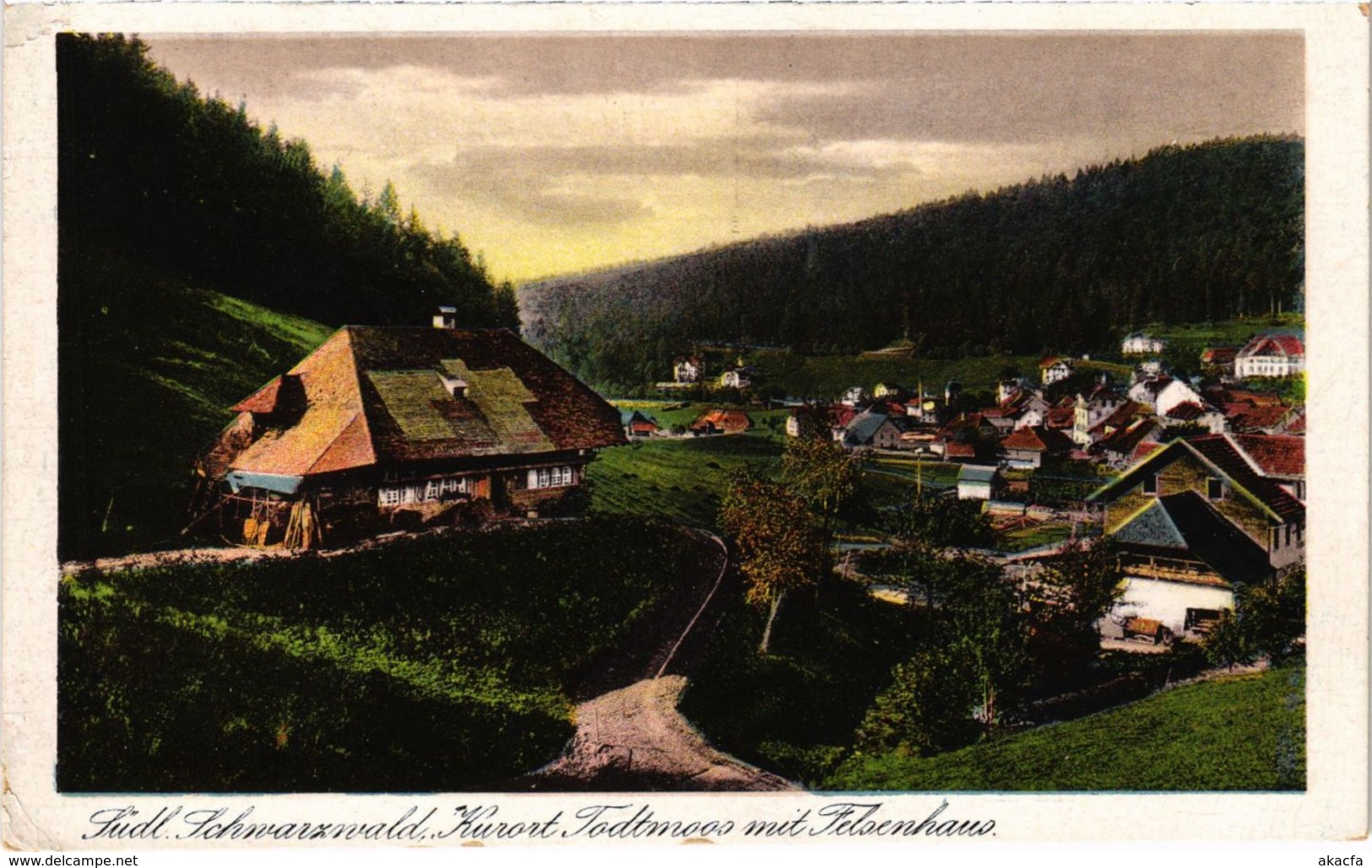 CPA AK Todtmoos - Todtmoos Mit Felsenhaus GERMANY (1030041) - Todtmoos