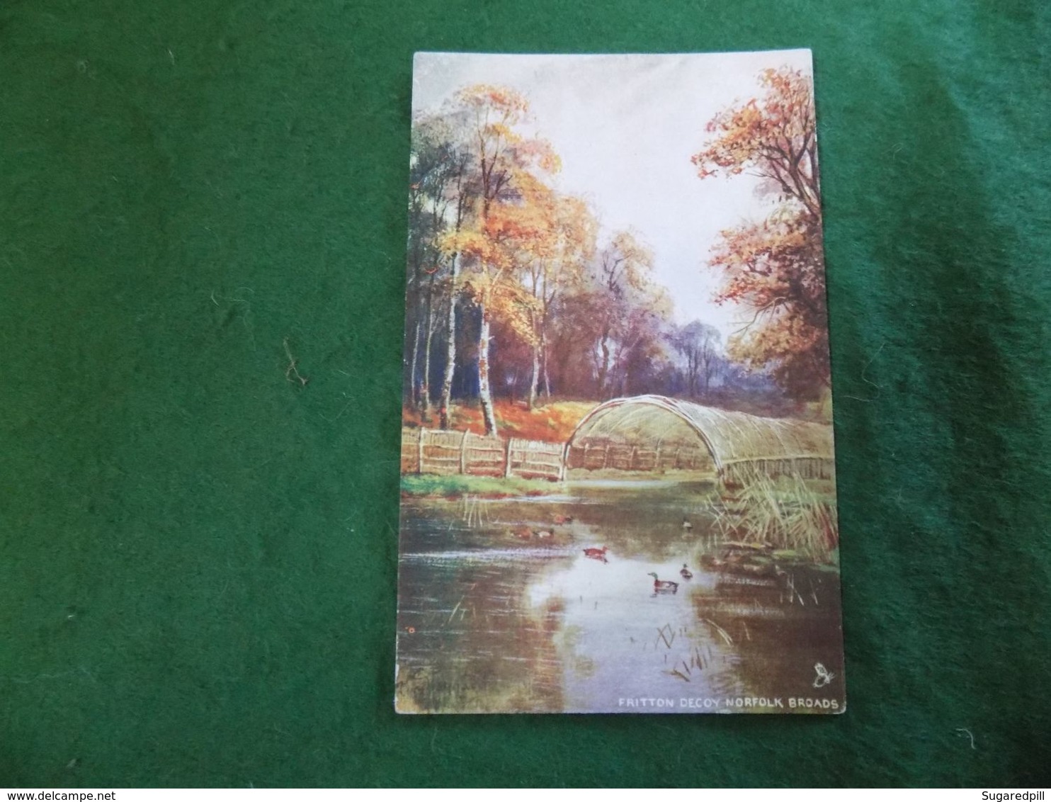 VINTAGE UK ENGLAND: NORFOLK Broads Fritton Decoy Art Colour Tuck Oilette - Other & Unclassified