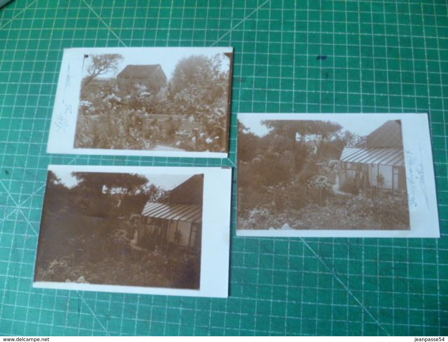 Fauvillers. 3 Cartes Photo.. Cachet Poste De 1938 - Fauvillers