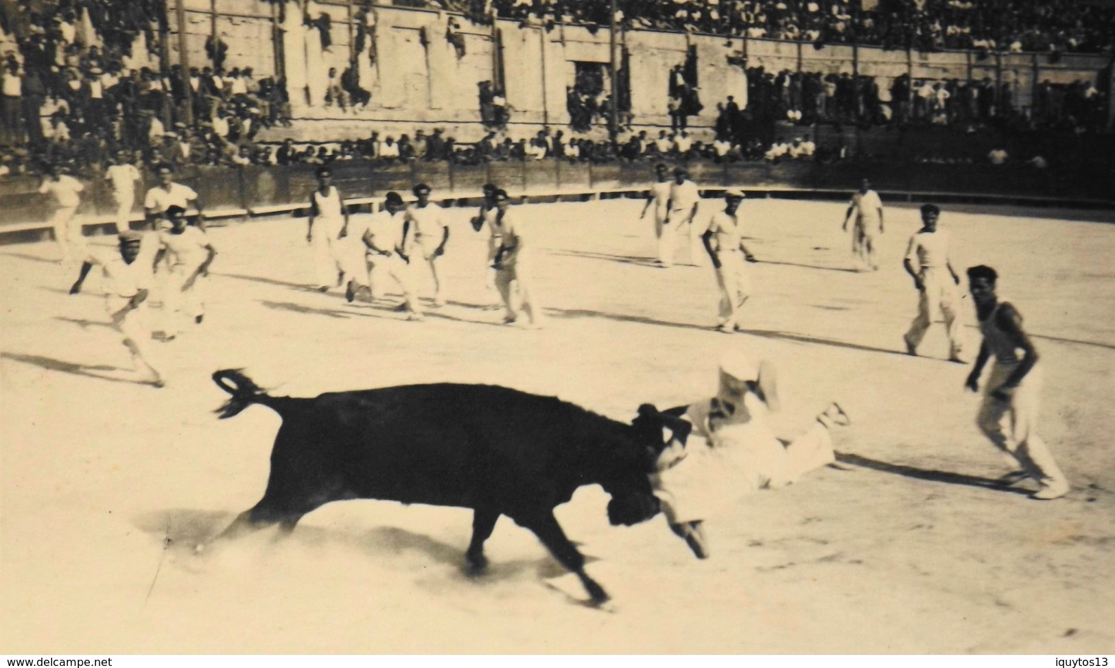 CPSM - Carte-Photo George Arles - Course De Taureaux Le Raseteur Se Fait Enlever Par Le Taureau - Les 2 à Identifier - A Identifier