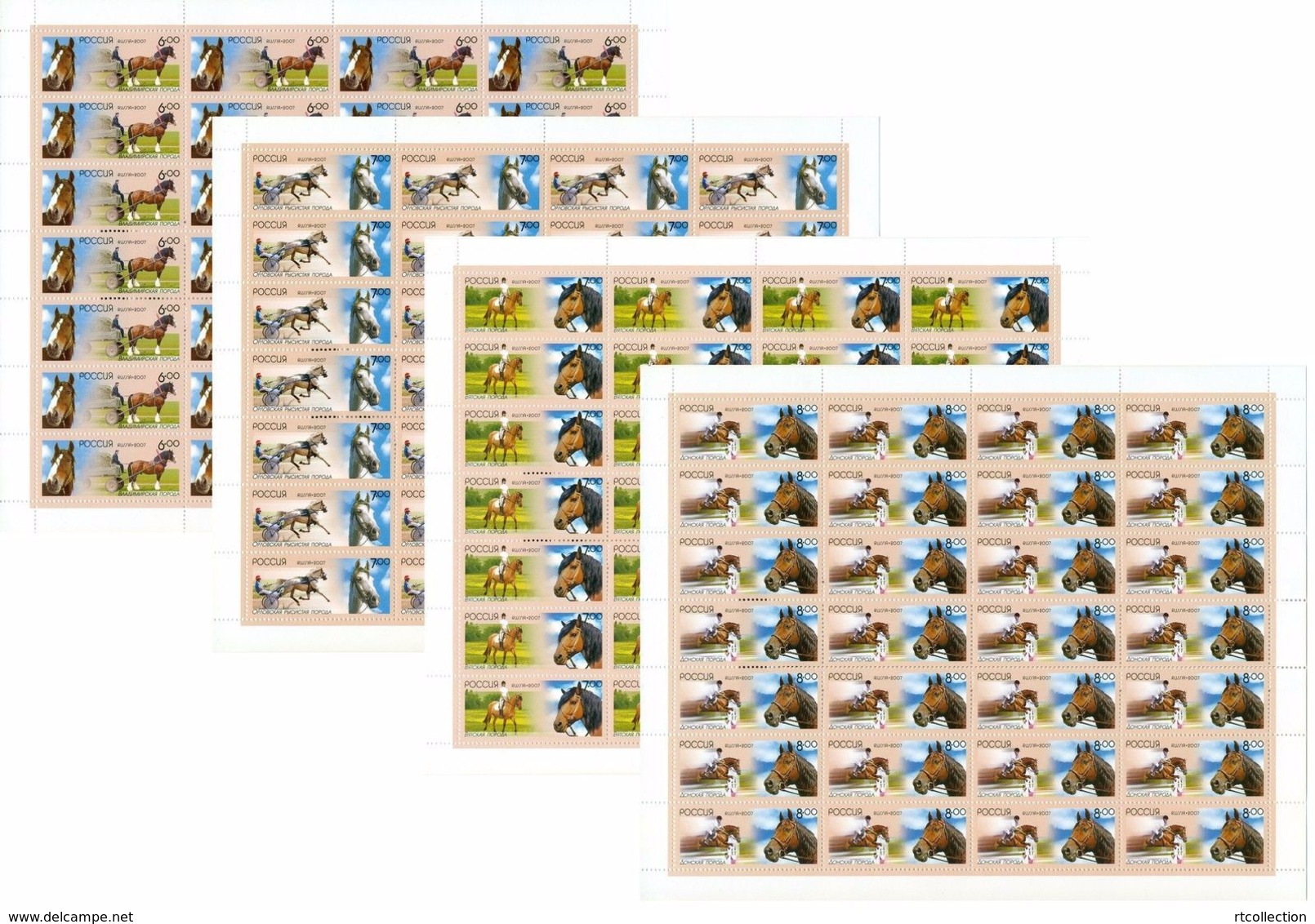 Russia 2007 Sheet Native Horse Breeds Domestic Horses Riding Sports Racing Mammal Fauna Farm Animal Stamps MNH Mi 1441-4 - Feuilles Complètes