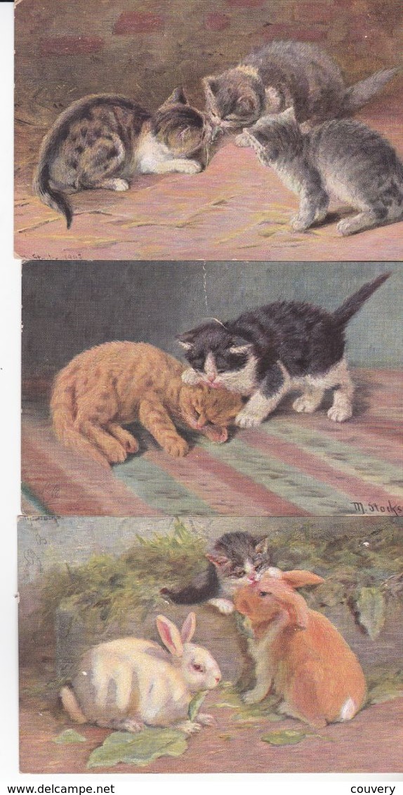 CPA CHAT , 3 Cartes De Chats.( Série 217.)1904. - Gatos