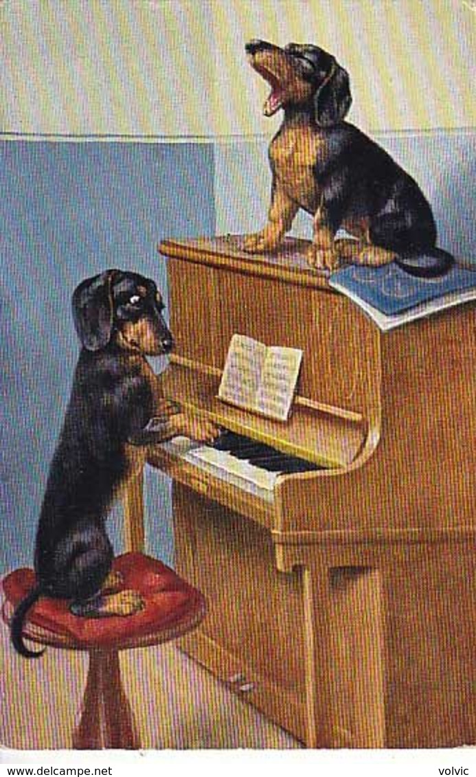 CP Fantaisie - Chiens Jouant Du Piano Et Chantant - - Cani