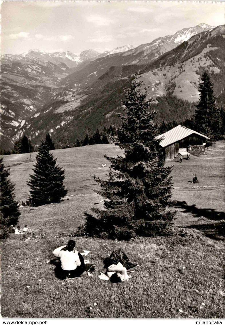 Brambrüesch - Aussicht In Die Schanfigger Berge Mit Aroser Weisshorn (010366) - S-chanf