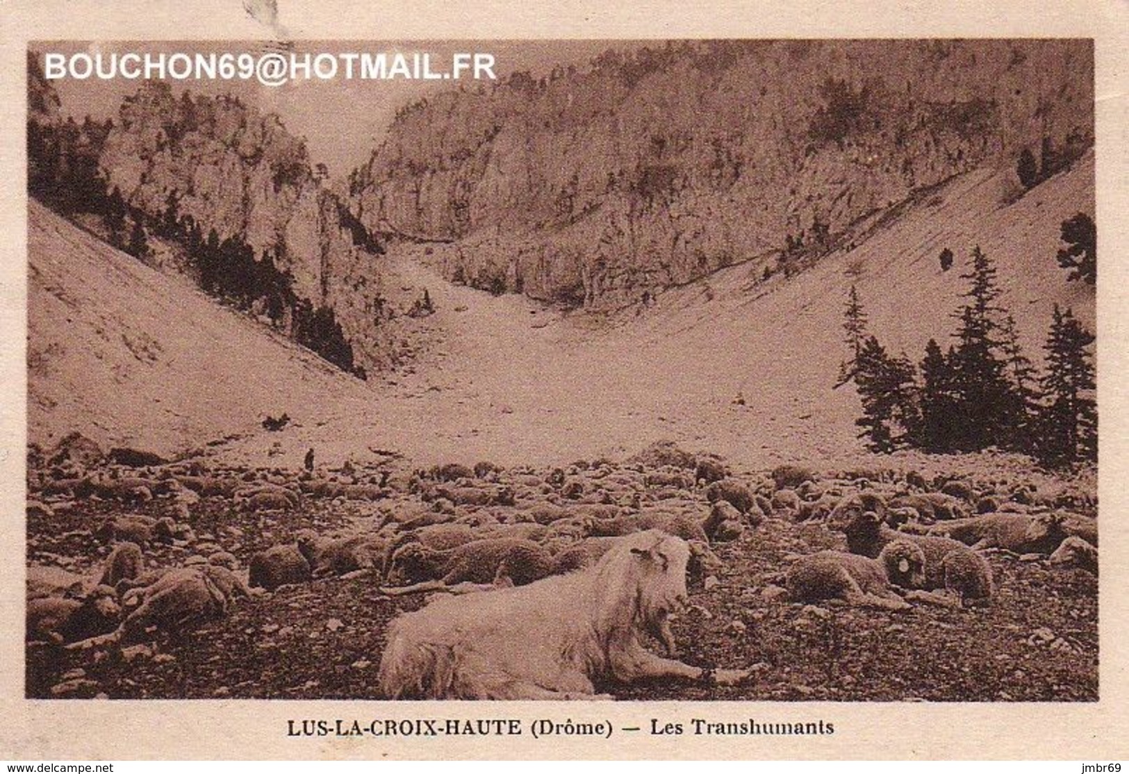 26 LUS-la-CROIX-HAUTE - Les Transhumants Moutons Goat Chevre - Autres & Non Classés