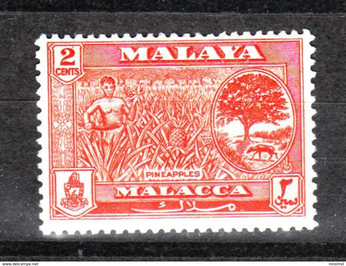 Malacca  - 1960. Raccolta Ananas. Pineapples. MNH - Fruit
