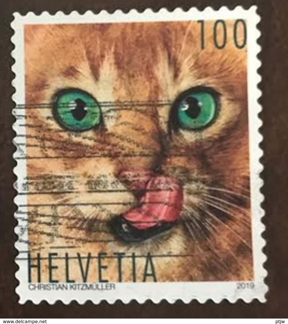 Used Stamp Switzerland 2019: Gestempelt Oblitere Timbrato Suisse Schweiz 2595 Cat Fauna - Used Stamps