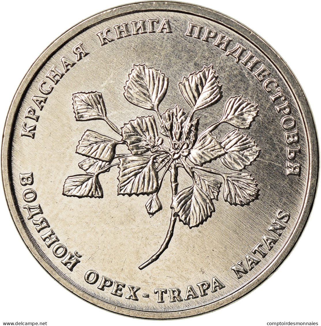 Monnaie, Transnistrie, Rouble, 2019, Chataigne D'eau, SPL, Copper-nickel - Moldavië