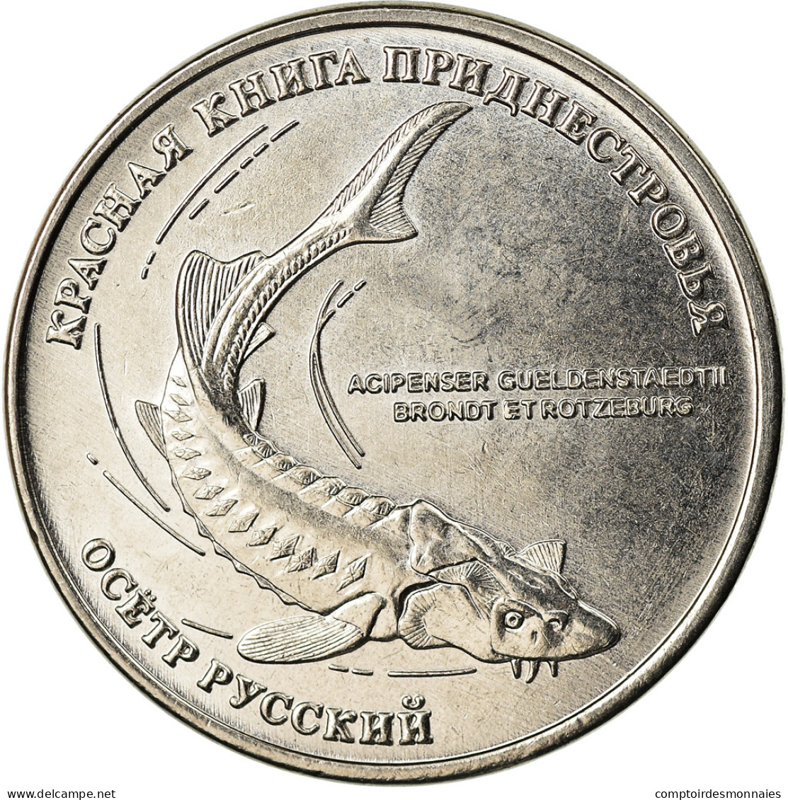 Monnaie, Transnistrie, Rouble, 2018, Esturgeon, SPL, Copper-nickel - Moldova