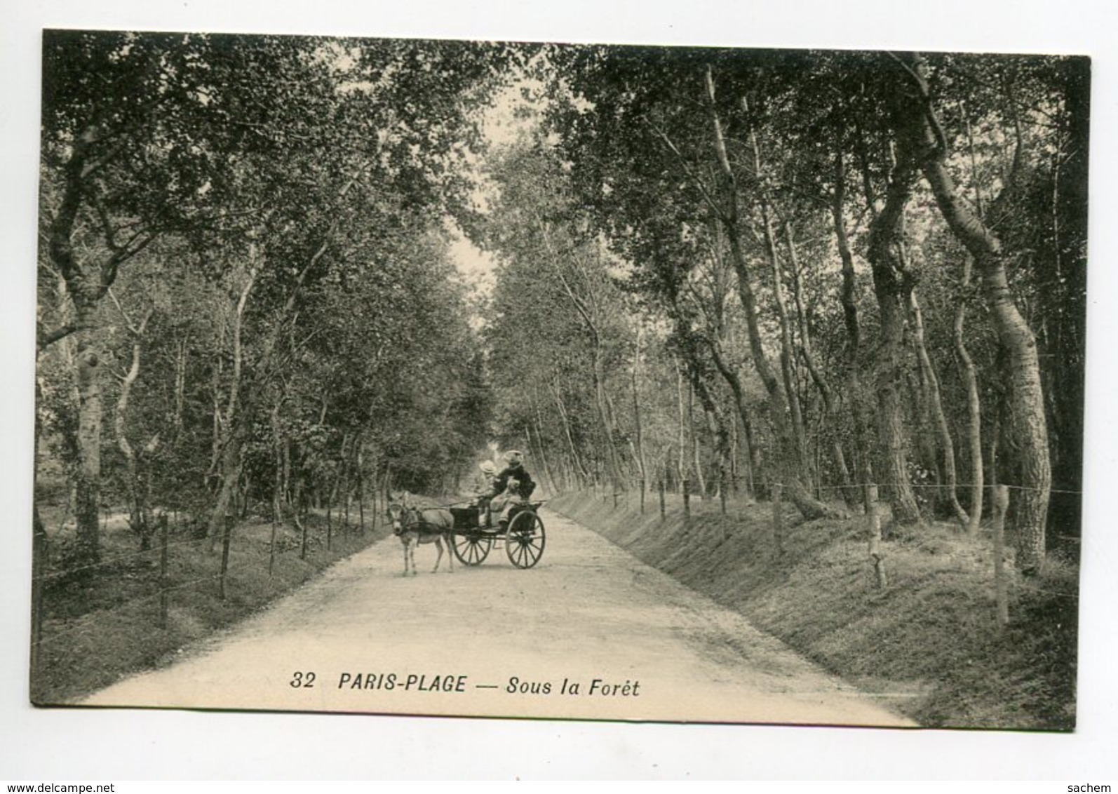 62 LE TOUQUET PARIS PLAGE Attelage Ane Priomenade Femme Et Enfants Sous La Foret  1910  D16 2020 - Le Touquet