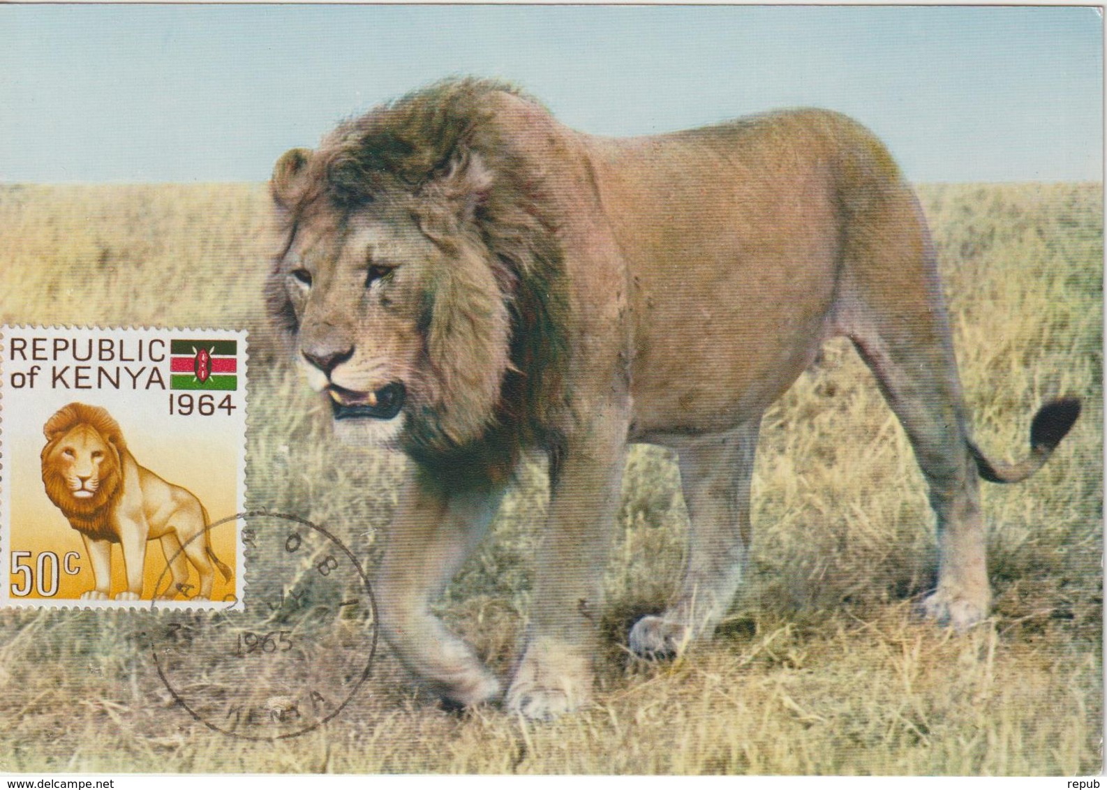 Kenya Carte Maximum 1964 Lion 17 - Kenya (1963-...)