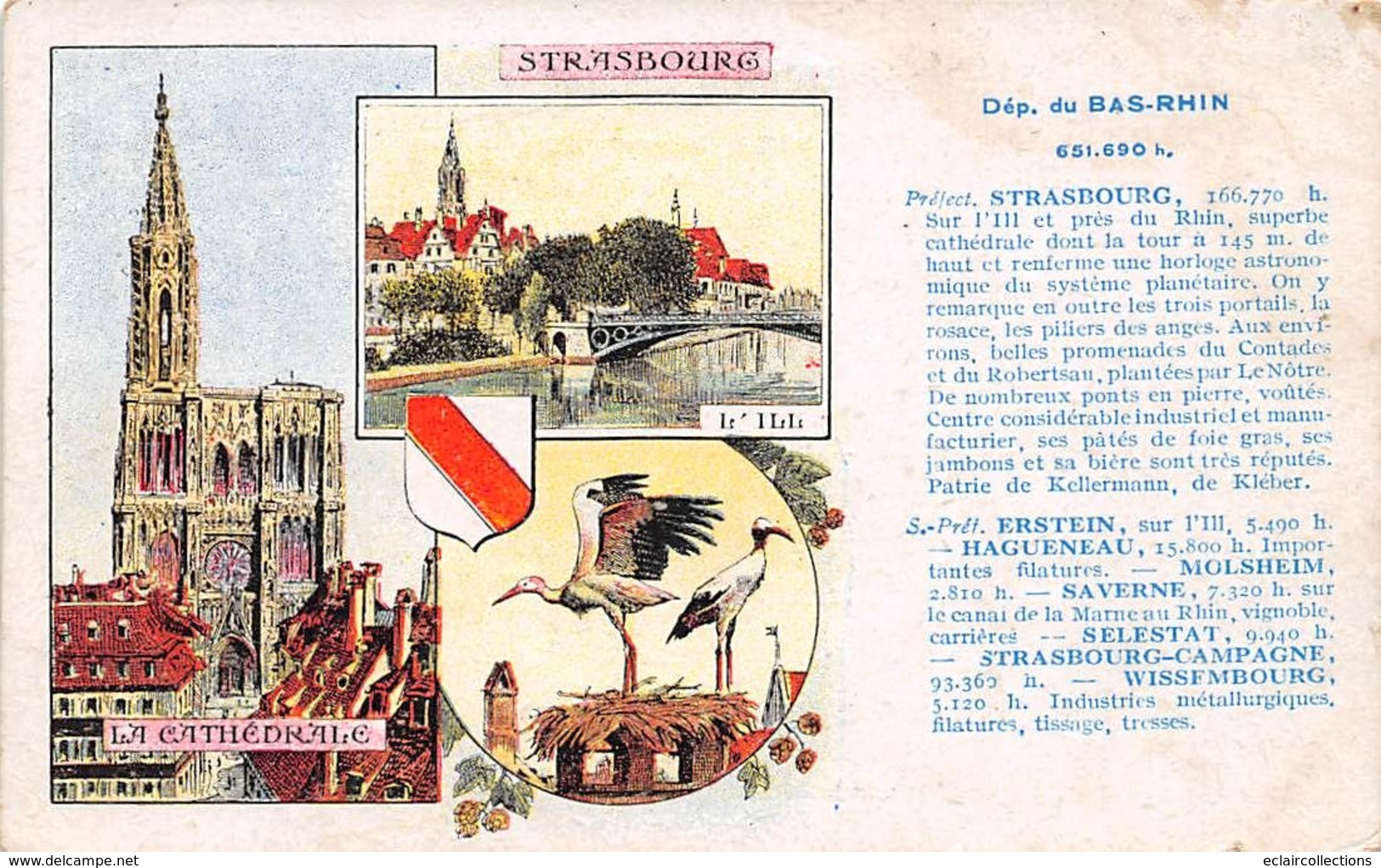 Strasbourg           67         Lot de 29 cartes    Vues diverses           (voir scan)