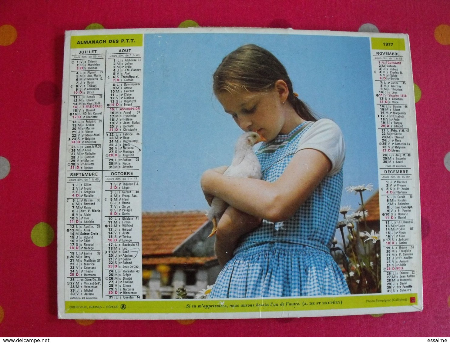 Almanach Des PTT. Cantal. Calendrier Poste 1977. Fillette Poule, Garçon Veau - Grand Format : 1971-80