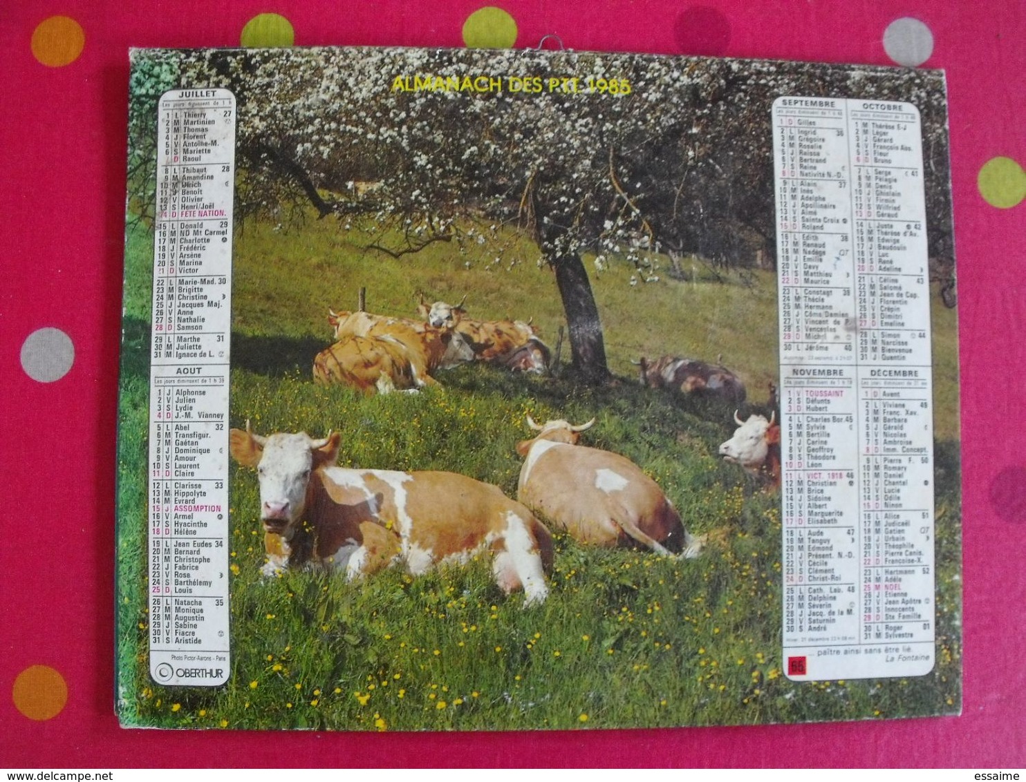 Almanach Des PTT. Cantal. Calendrier Poste 1985. Vaches, Oie Cendrée - Formato Grande : 1981-90