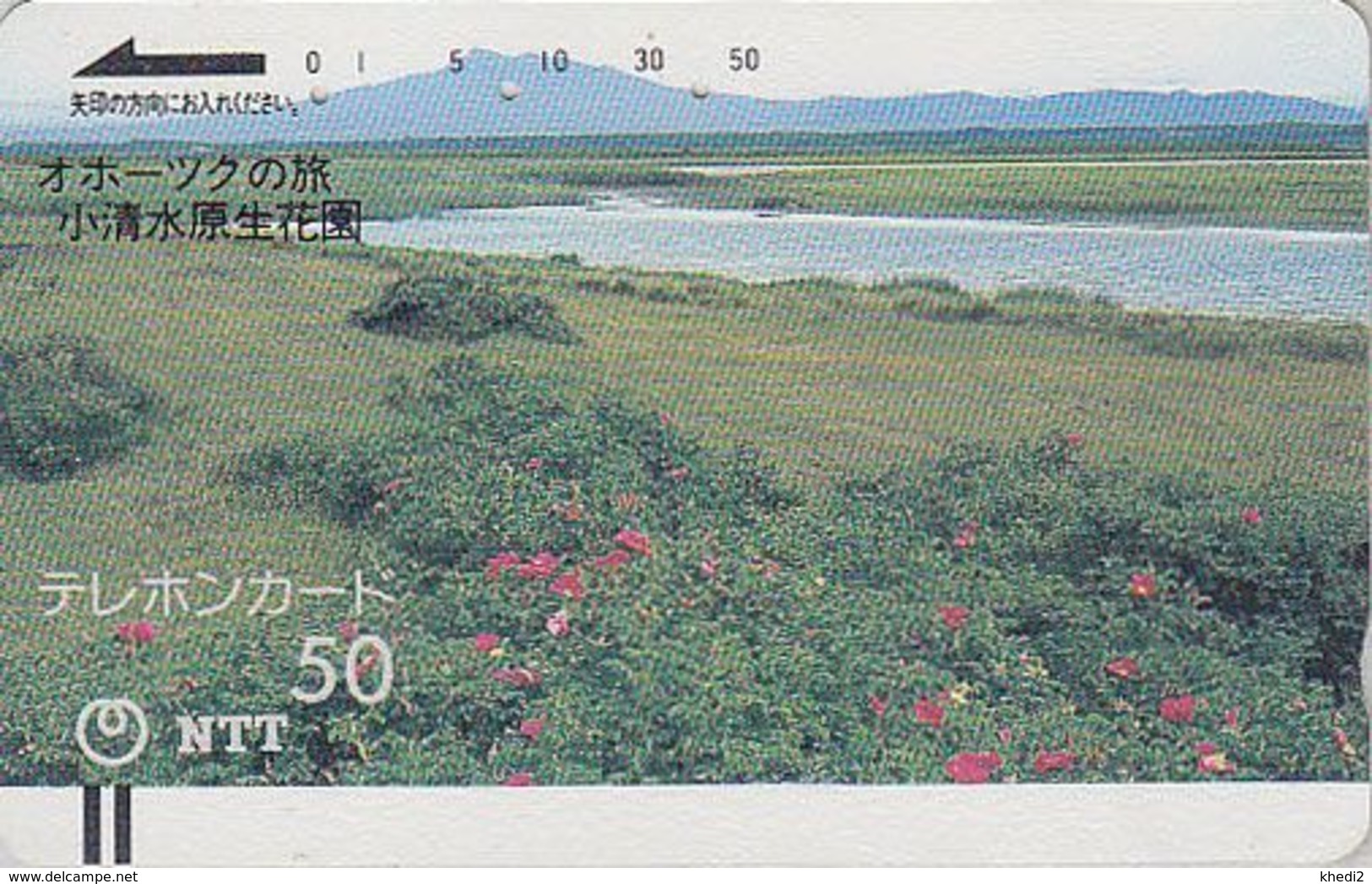 Télécarte Ancienne JAPON / NTT 430-025 - ARCTIQUE / OKHOTSK - ARCTIC JAPAN Front Bar Phonecard / TBE - Balken TK - Gebirgslandschaften