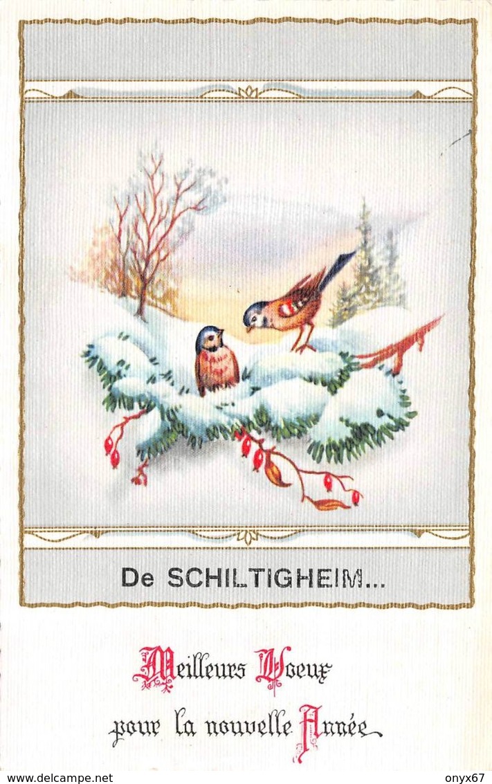 SCHILTIGHEIM (67-Bas-Rhin) Meilleurs Voeux Pour La Nouvelle Année - Petits Oiseaux- OISEAU - FANTAISIE -  2 SCANS - Schiltigheim