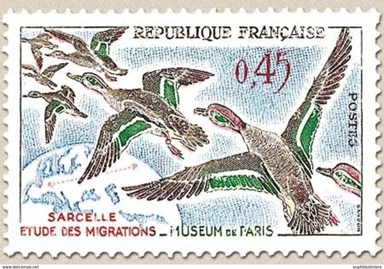 Oiseaux. Sarcelles. 45c. Multicolore Y1275 - Neufs