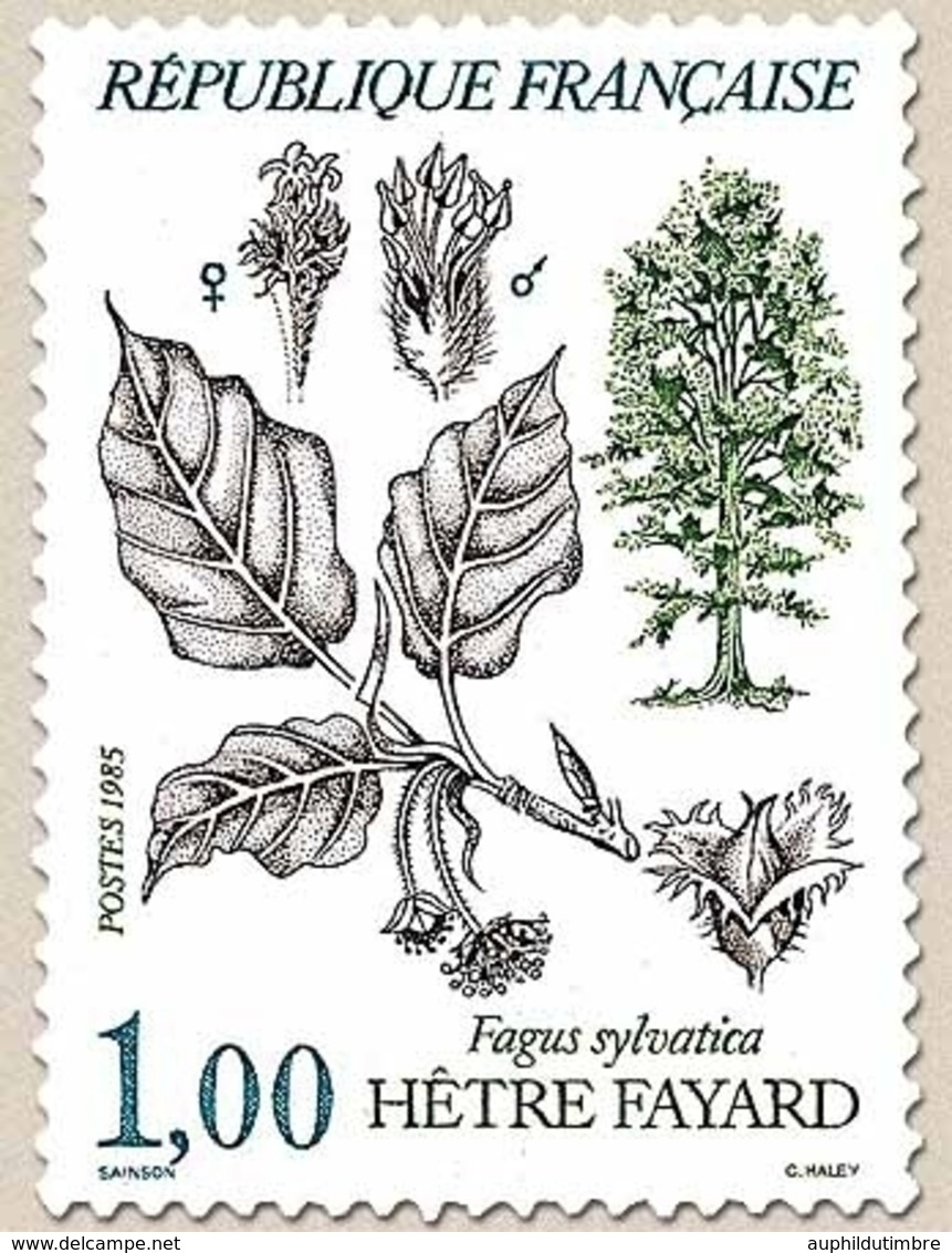 Flore Et Faune De France. Arbres Fagus Sylvatica.  1f. Multicolore Y2384 - Unused Stamps