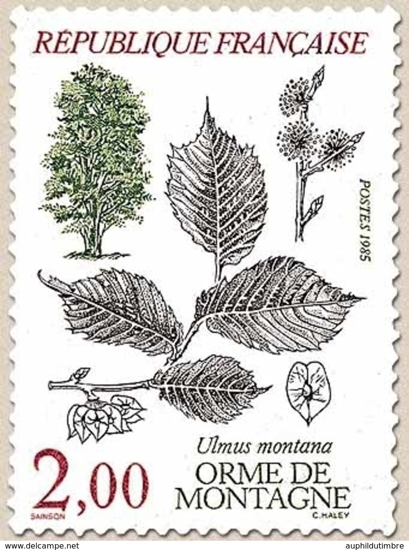Flore Et Faune De France. Arbres Ulmus Montana.  2f. Multicolore Y2385 - Unused Stamps