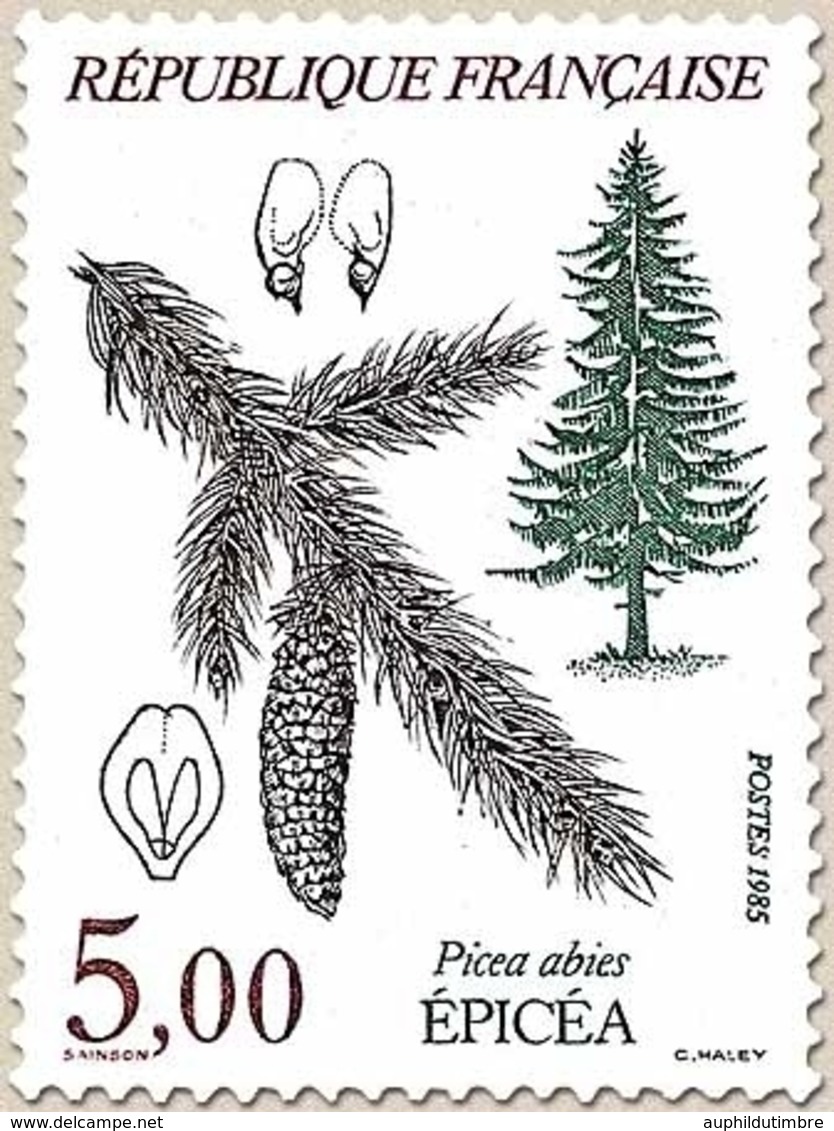 Flore Et Faune De France. Arbres Picea Abies. 5f. Multicolore Y2387 - Unused Stamps