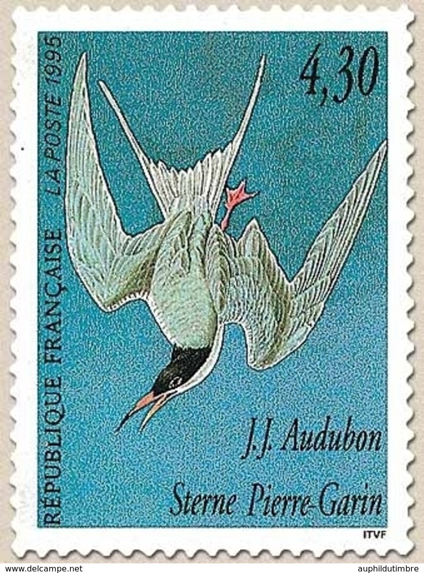 Série Arts Décoratifs. Les Oiseaux De J.-J. Audubon. Sterne Pierre-Garin  4f.30 Multicolore Y2931 - Nuevos
