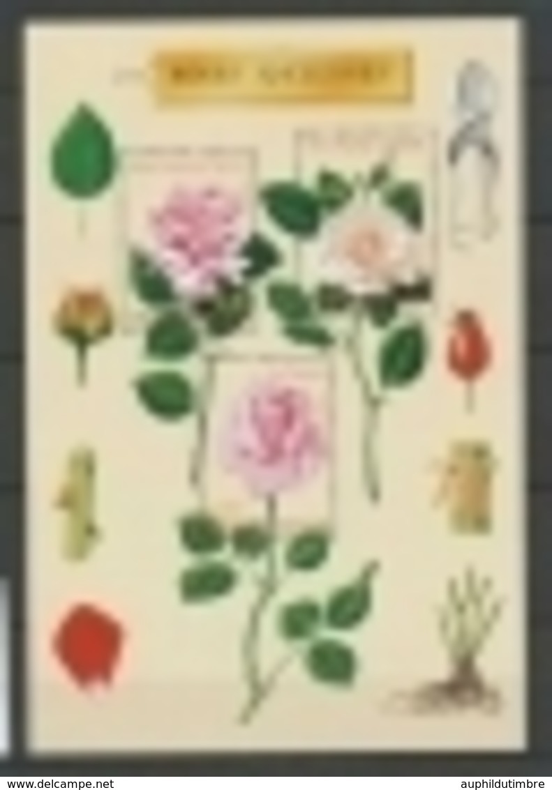 Congrès Mondial De Roses Anciennes, à Lyon. YB24 - Nuovi