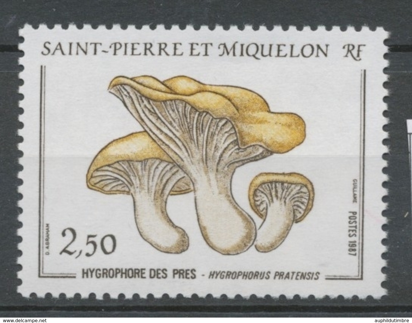 SPM  N°475 Flore Champignon Hygrophore Des Prés 2f50 Brun, Jaune-brun, Brun-jaune ZC475 - Ungebraucht