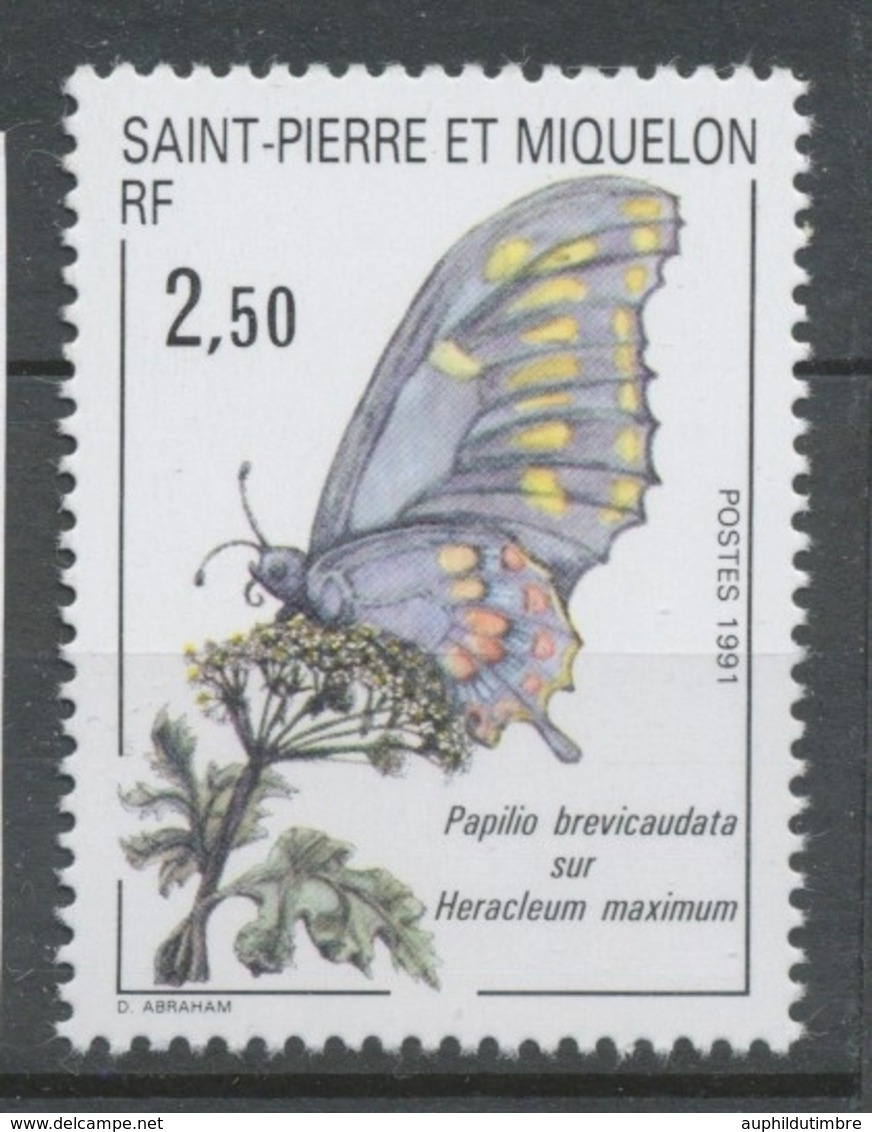 SPM  N°534 Faune, Flore 2f50 Papilio Brevicaudata Sur Heracleum Maximum ZC534 - Unused Stamps