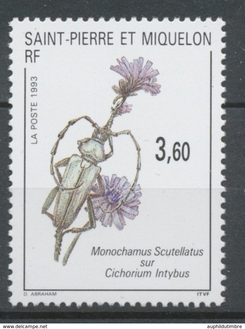 SPM  N°575 Faune, Flore Insecte Sur Fleur 3f60 Monochamus Scutellatus Sur Cichorium Intybus ZC575 - Neufs