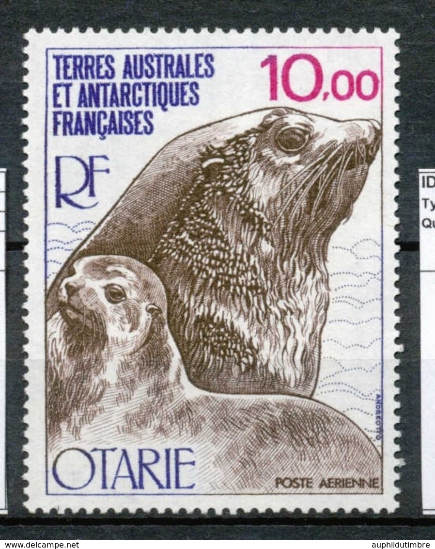 T.A.A.F Aérien 1977 N°48 Faune. Otarie N** ZT162A - Corréo Aéreo