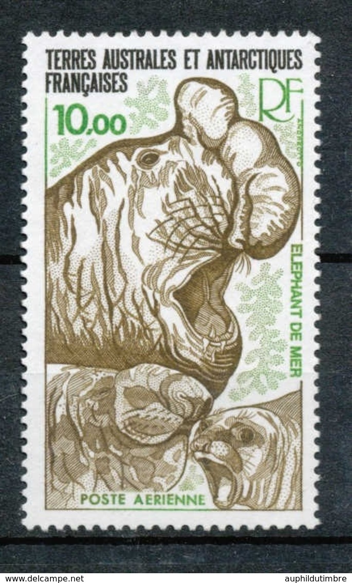 T.A.A.F Aérien 1978 N°55 Faune. Eléphant De Mer N** ZT167A - Poste Aérienne