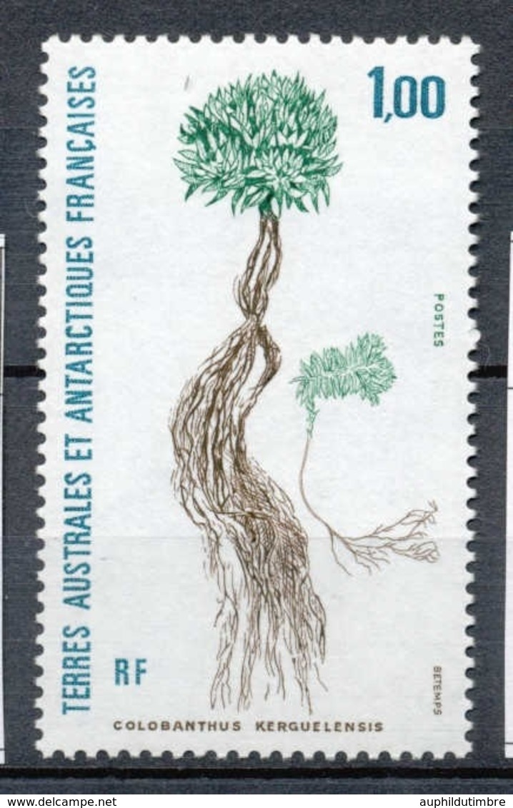 T.A.A.F 1992 N°164 Type M. Flore Antarctique.  N** ZT97A - Unused Stamps