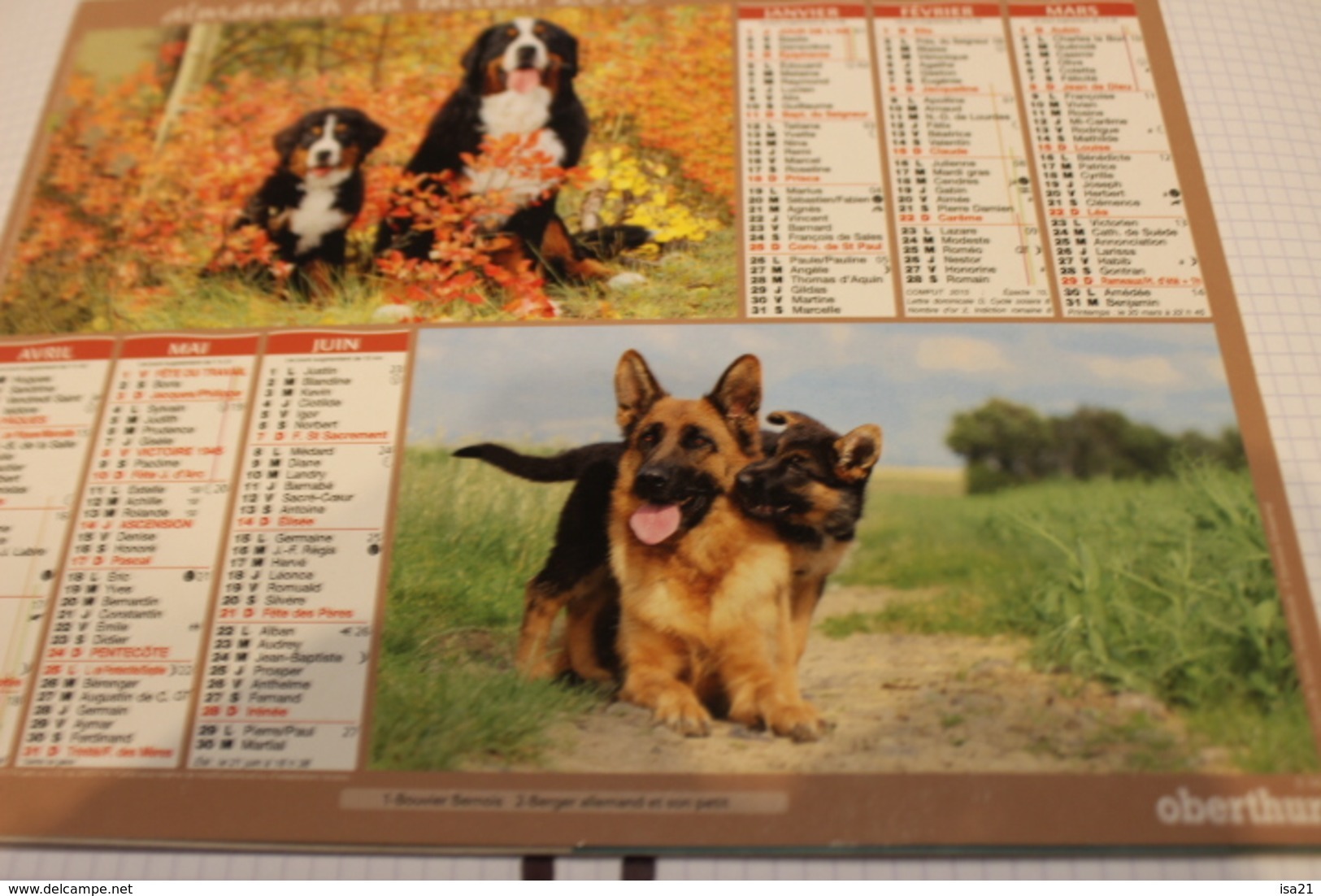 ALMANACH DU FACTEUR Calendrier Des Postes 2015, SEINE-MARITIME, BOUVIER, BERGER, Golden Retriev, Carton Souple.4 Photos. - Big : 2001-...