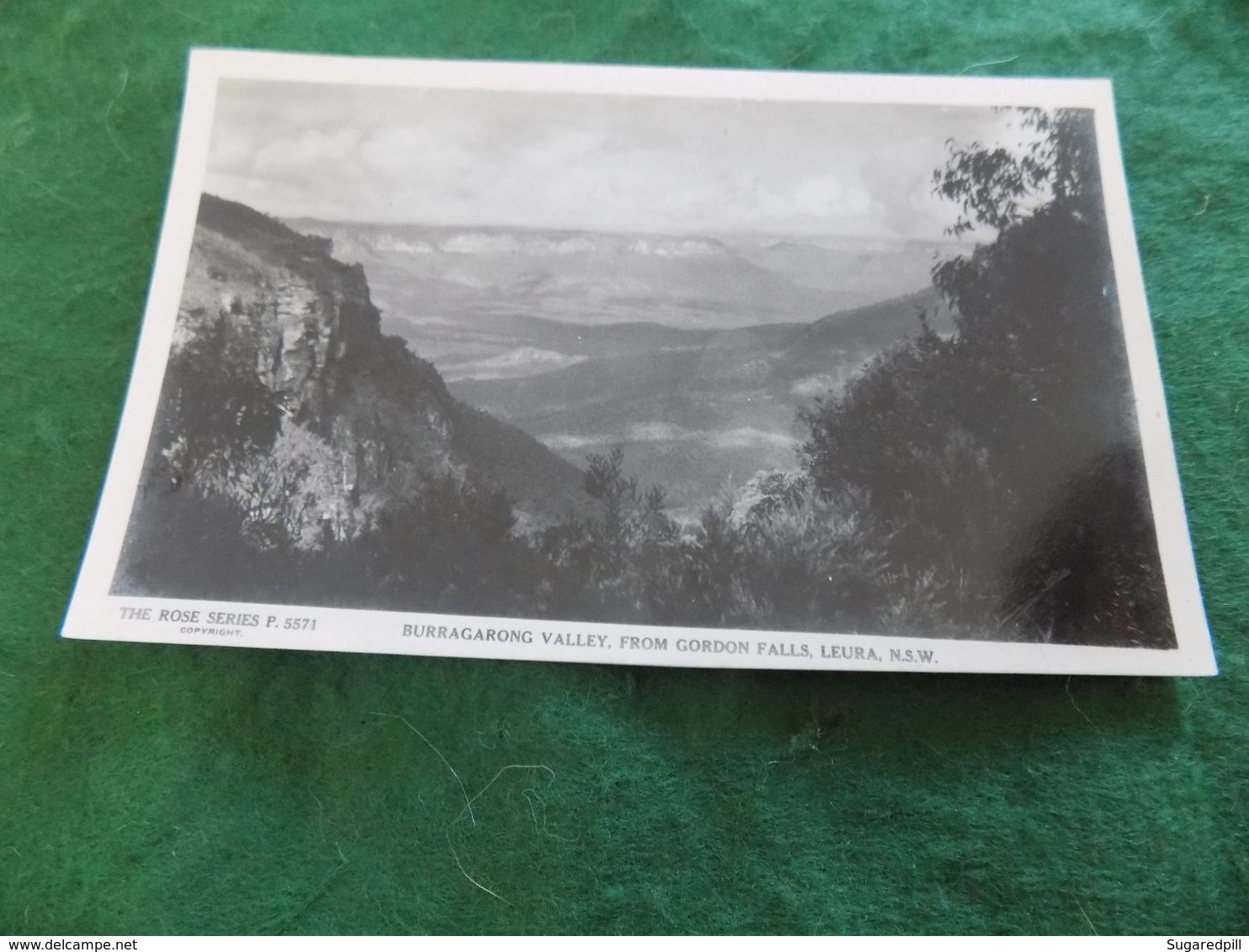 VINTAGE AUSTRALIA: NSW Leura Burragarong Valley From Gordon Falls B&w Rose - Other & Unclassified