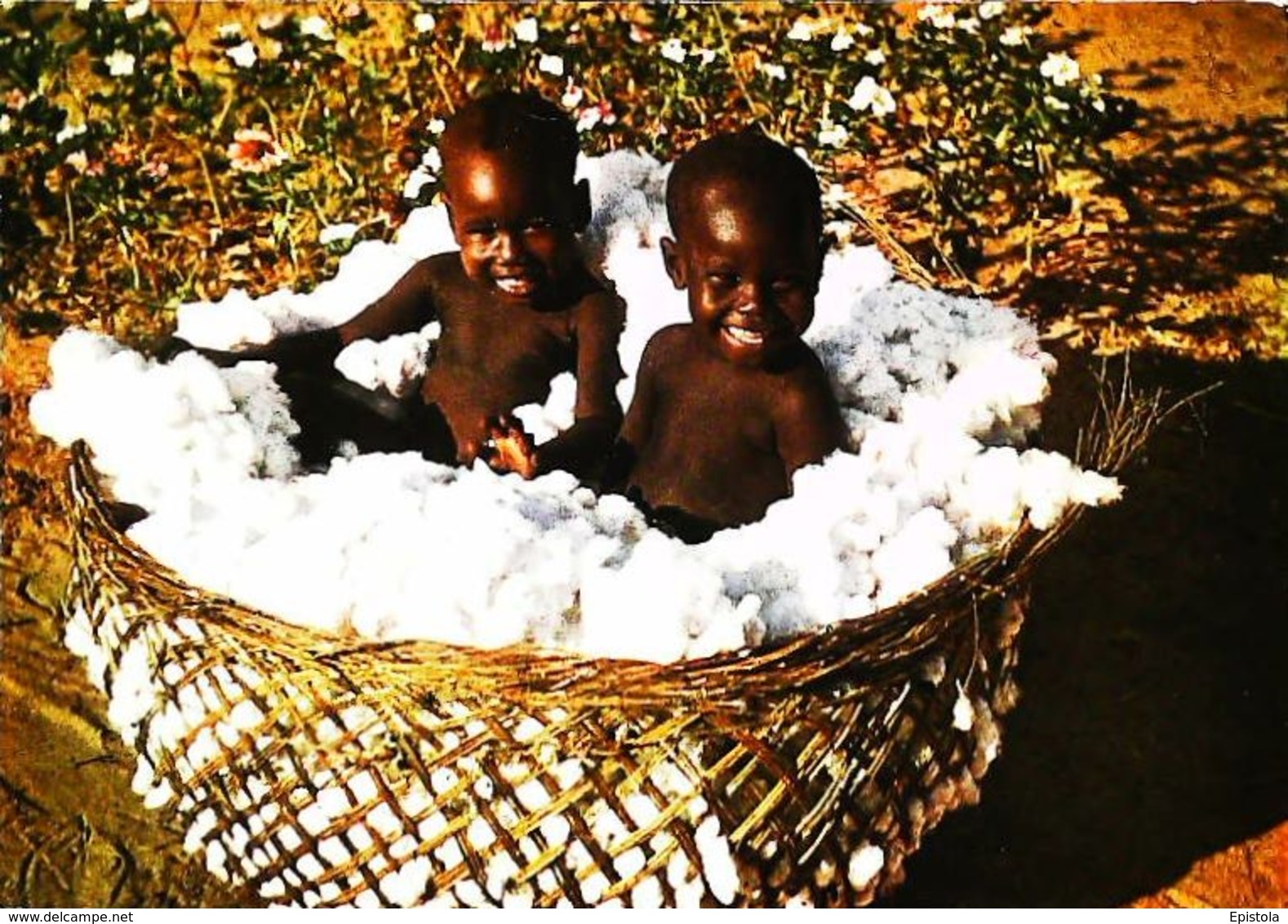 Tchad   Koumra  Enfants Saras Dans Un Panier De Coton - Tchad