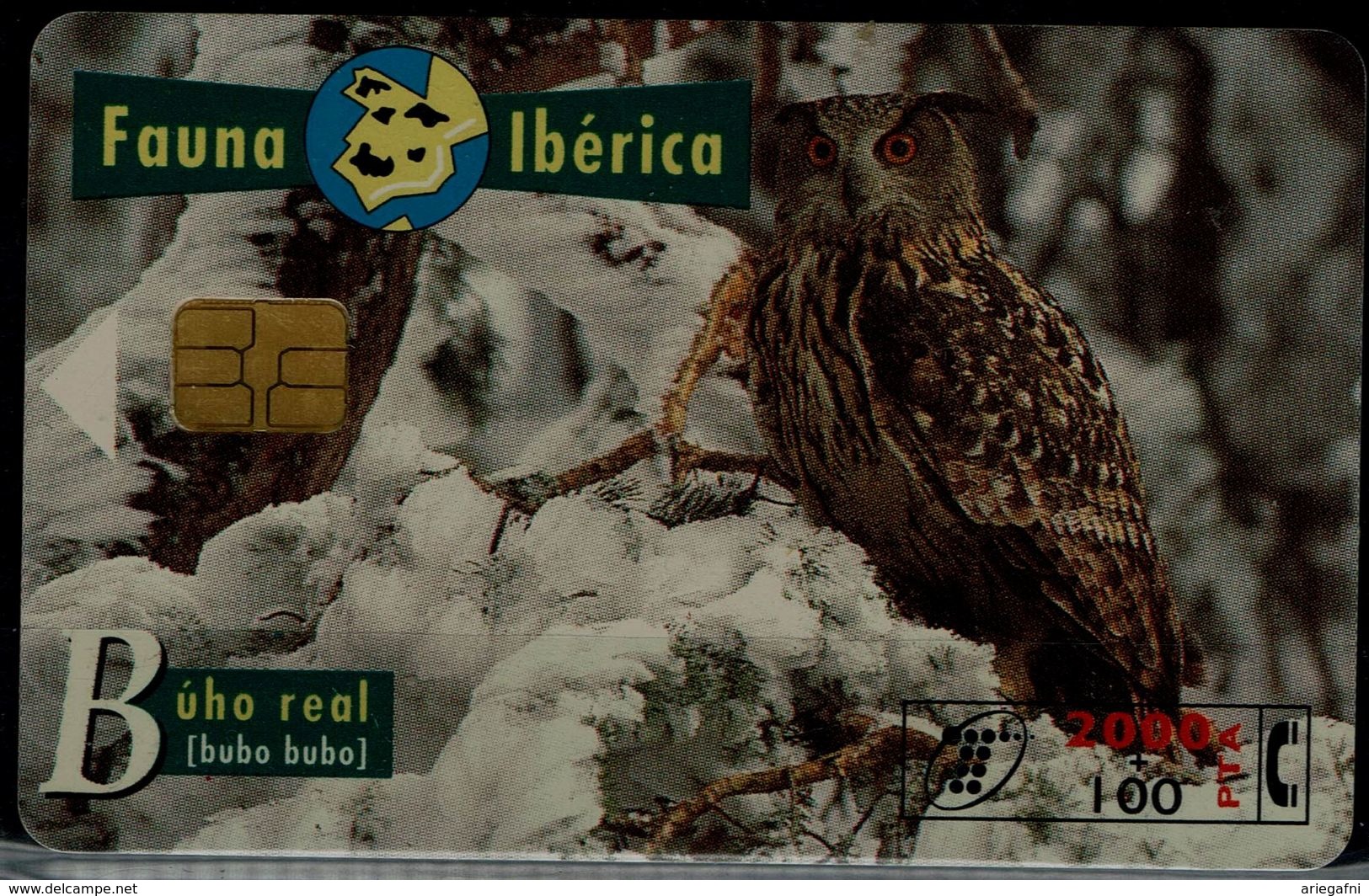 SPAIN 1996 PHONECARD OWLS USED VF!! - Hiboux & Chouettes