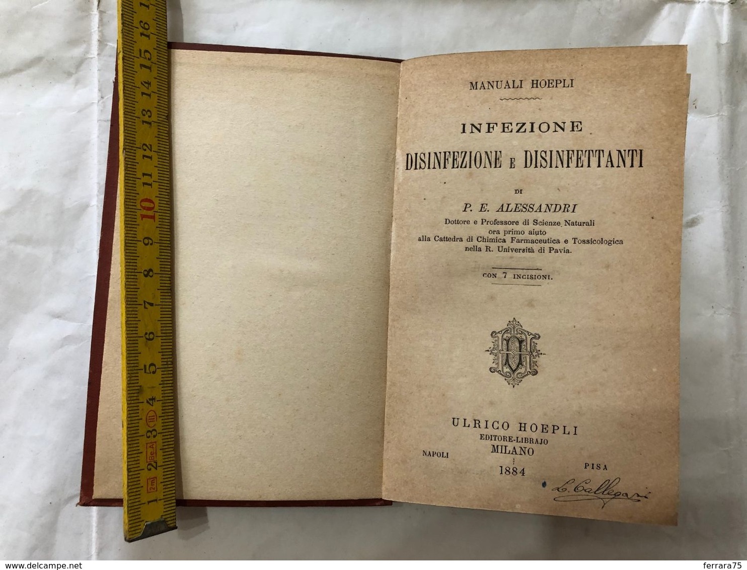 HOEPLI MANUALE INFEZIONE DISINFEZIONE E DISINFETTANTI 1884 P.E. ALESSANDRI - Libri Antichi