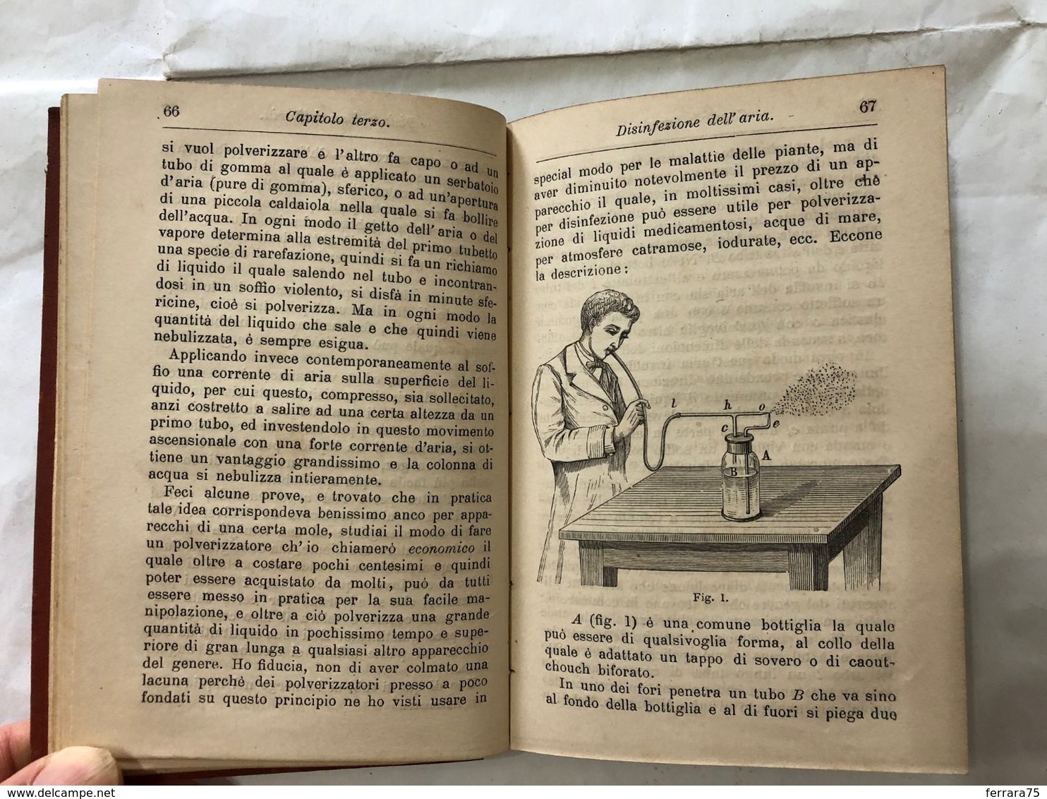 HOEPLI MANUALE INFEZIONE DISINFEZIONE E DISINFETTANTI 1884 P.E. ALESSANDRI - Libri Antichi