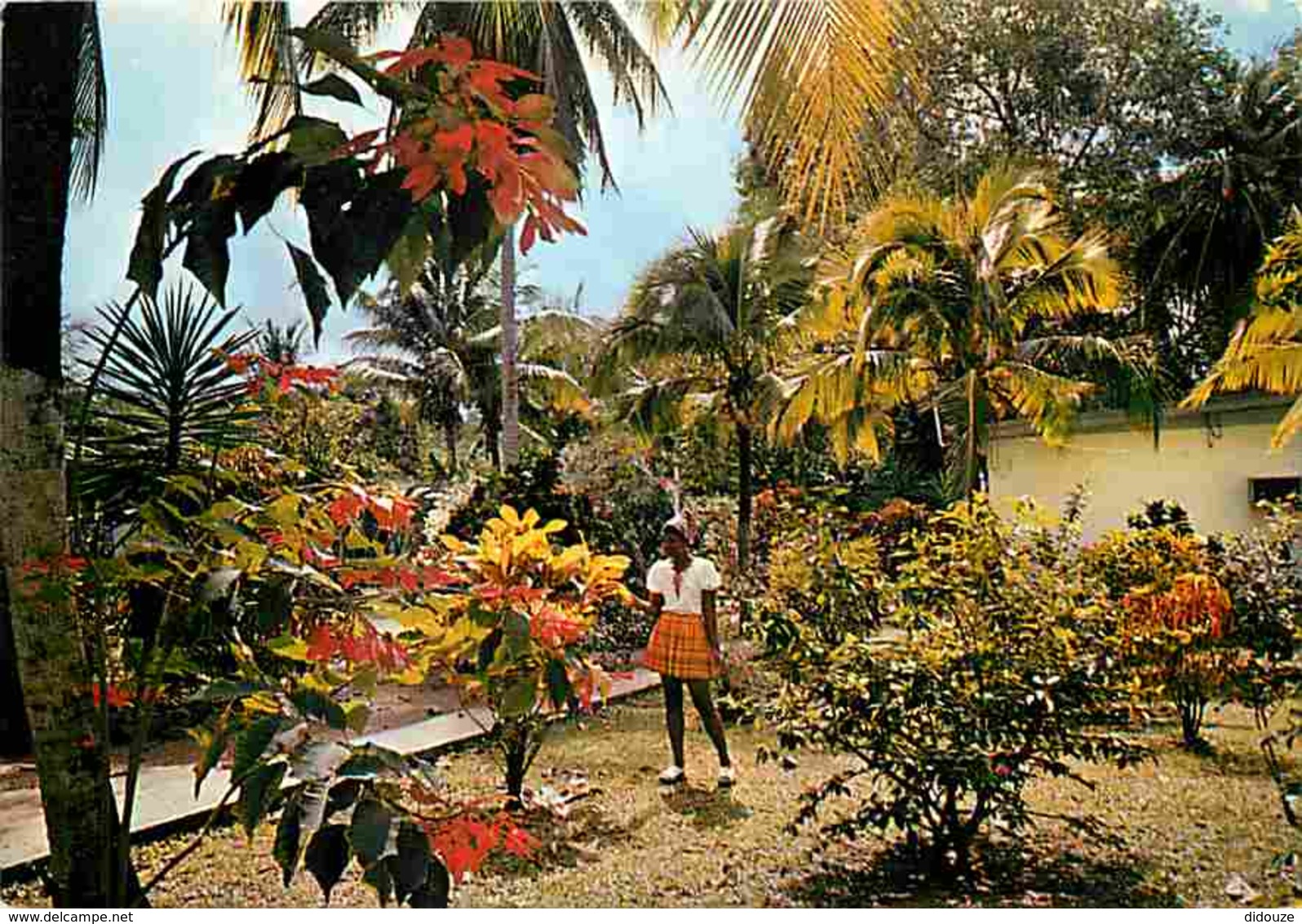 Martinique - Les Trois Ilets - Auberge De L'Anse Mitan - Jardin - CPM - Voir Scans Recto-Verso - Autres & Non Classés